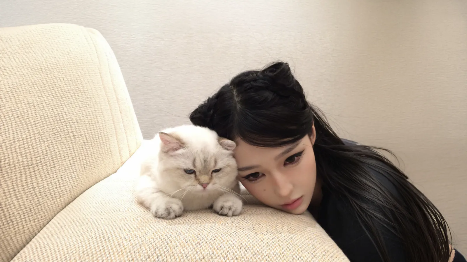 女生与白色猫咪沙发亲密互动写真人物电脑壁纸
