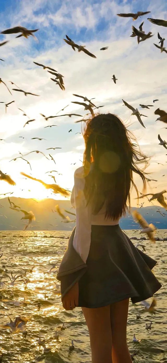 白上衣灰短裙女生海边夕阳海鸥飞翔人物手机壁纸