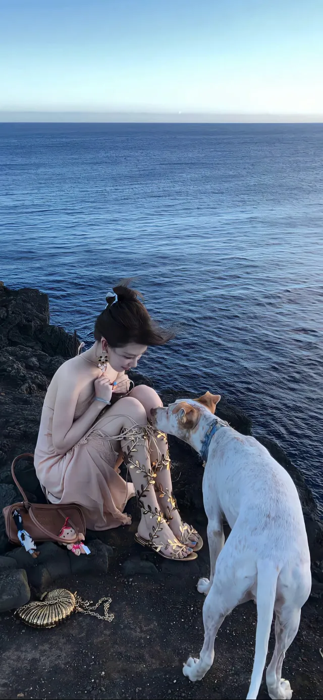 海边美女与狗互动人物电脑壁纸