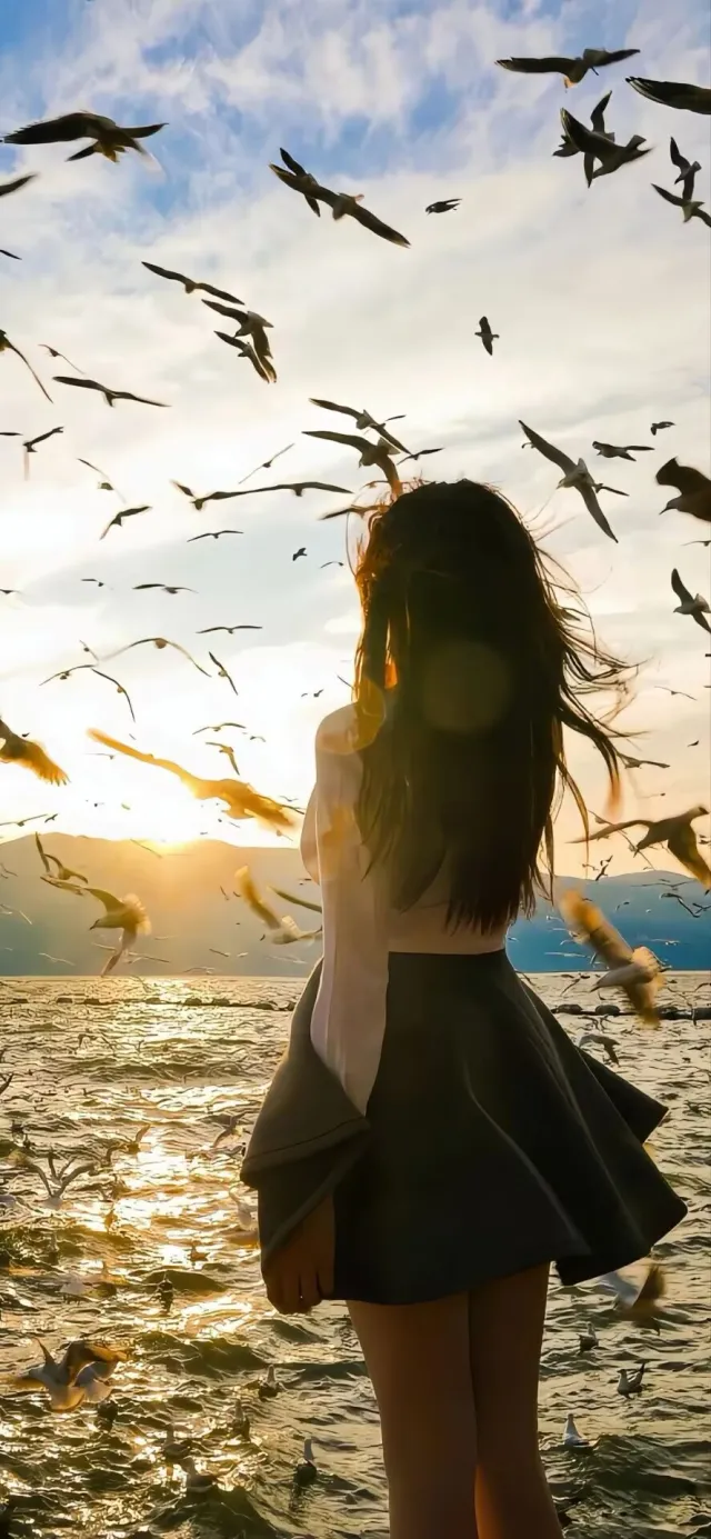 海边夕阳少女背影海鸥飞舞手机壁纸