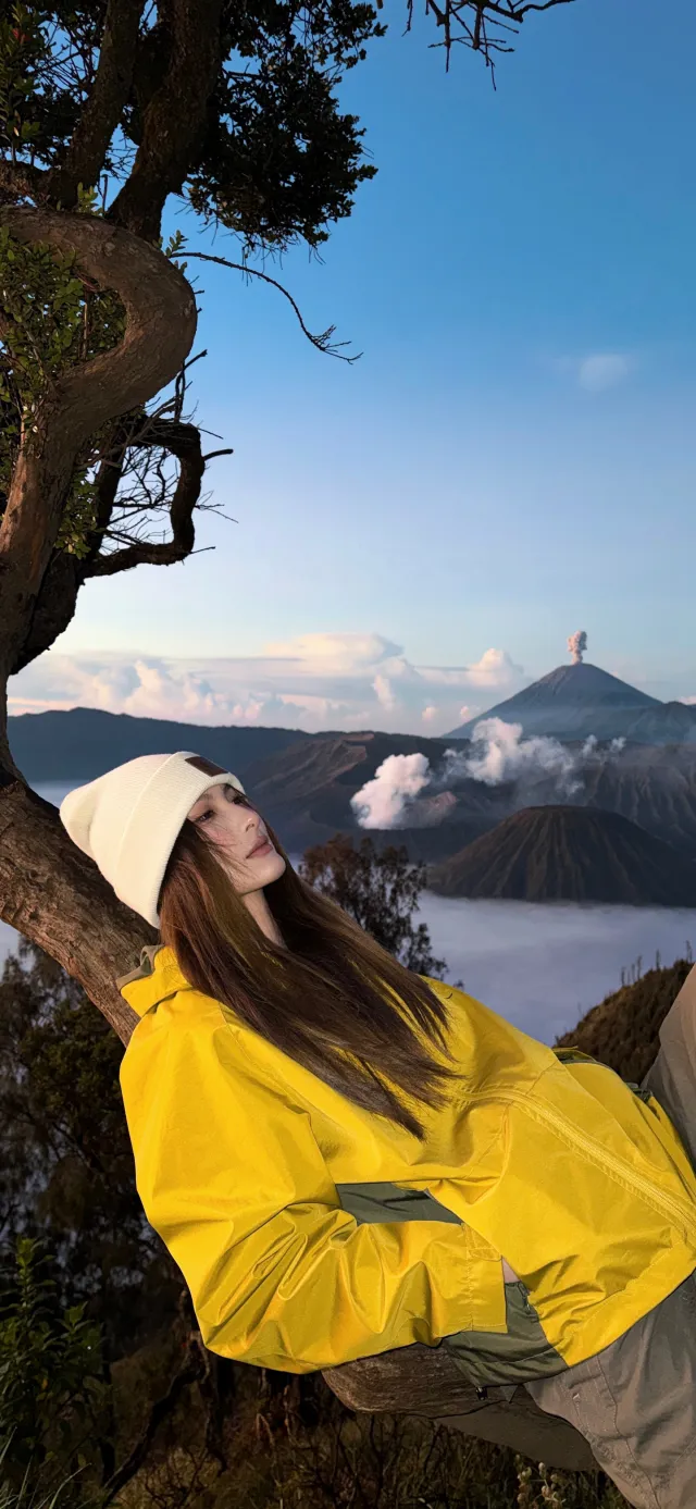 黄色冲锋衣女性倚靠树火山背景旅行写真手机壁纸