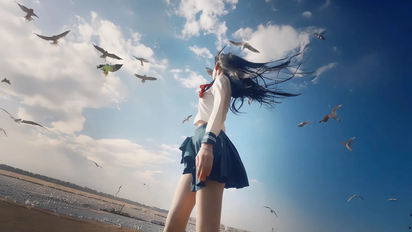 海边校服少女与飞鸟场景壁纸
