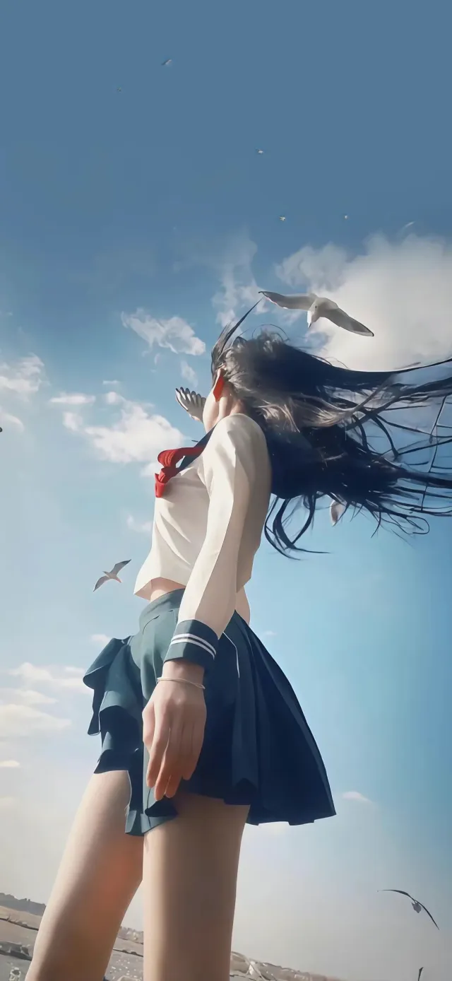 海鸥飞舞少女水手服仰望蓝天手机壁纸