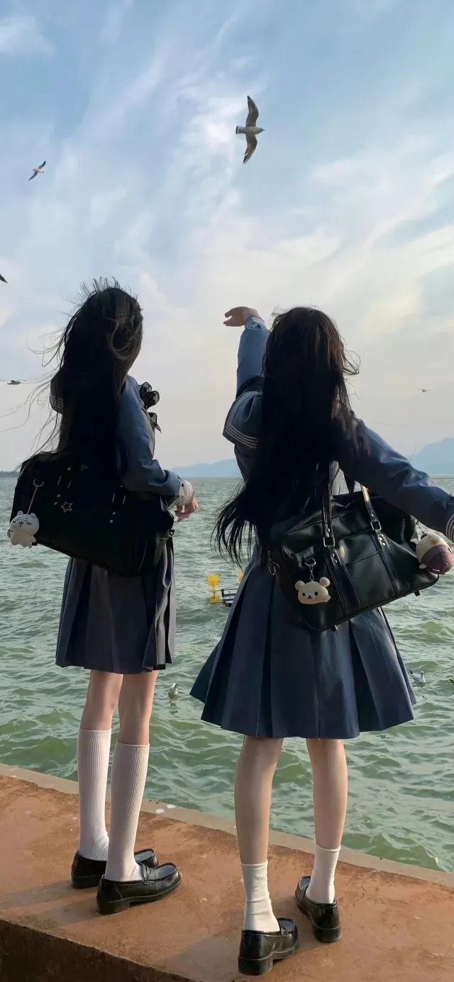 海边JK双少女喂海鸥手机壁纸